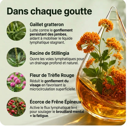 Atelier Novar – Drainage Lymphatique